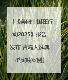 《美丽中国在行动2025》报告发布 青岛入选典型实践案例