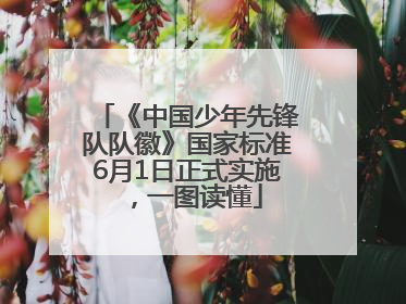 《中国少年先锋队队徽》国家标准6月1日正式实施，一图读懂