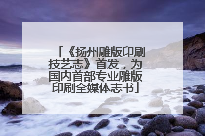 《扬州雕版印刷技艺志》首发，为国内首部专业雕版印刷全媒体志书