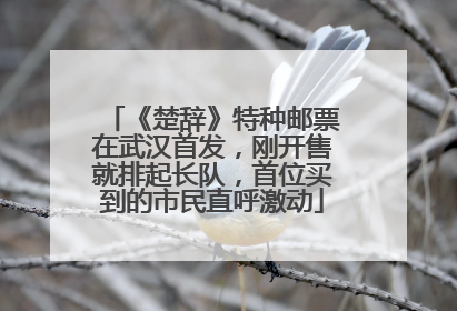 《楚辞》特种邮票在武汉首发，刚开售就排起长队，首位买到的市民直呼激动