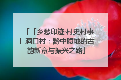 「乡愁印迹·村史村事」洞口村：黔中腹地的古韵新章与振兴之路