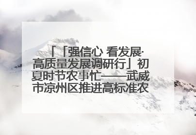 「强信心 看发展·高质量发展调研行」初夏时节农事忙——武威市凉州区推进高标准农田建设见闻