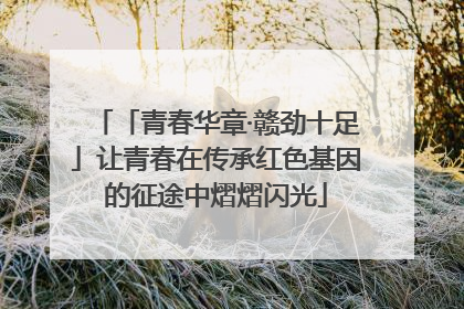 「青春华章·赣劲十足」让青春在传承红色基因的征途中熠熠闪光