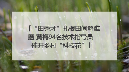 “田秀才”扎根田间解难题 黄梅94名技术指导员催开乡村“科技花”