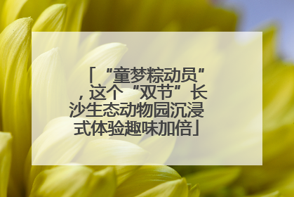 “童梦粽动员”，这个“双节”长沙生态动物园沉浸式体验趣味加倍