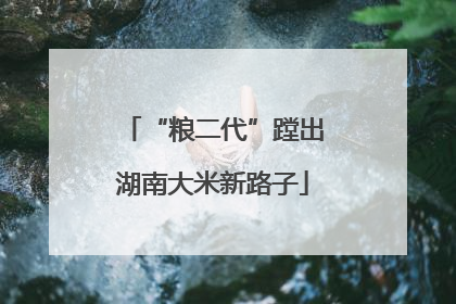 “粮二代”蹚出湖南大米新路子