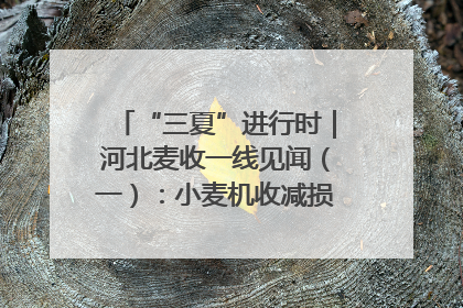 “三夏”进行时｜河北麦收一线见闻（一）：小麦机收减损“竞技” 农机高手麦田“过招”