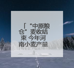 “中原粮仓”麦收结束 今年河南小麦产量咋样？品质如何？