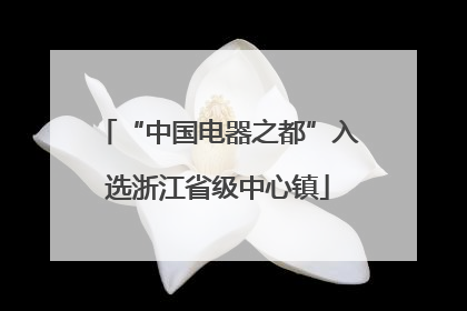 “中国电器之都”入选浙江省级中心镇
