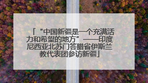 “中国新疆是一个充满活力和希望的地方”——印度尼西亚北苏门答腊省伊斯兰教代表团参访新疆