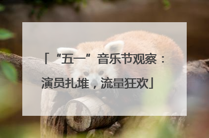 “五一”音乐节观察：演员扎堆，流量狂欢