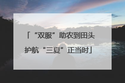 “双服”助农到田头 护航“三夏”正当时
