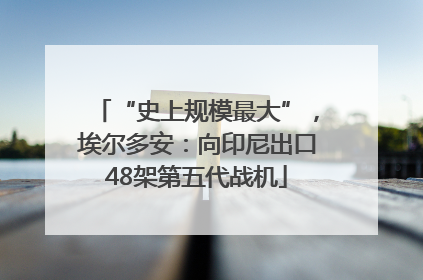 “史上规模最大”，埃尔多安：向印尼出口48架第五代战机
