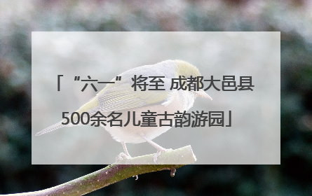 “六一”将至 成都大邑县500余名儿童古韵游园
