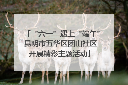 “六一”遇上“端午” 昆明市五华区团山社区开展精彩主题活动