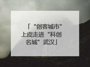 “创客城市”上虞走进“科创名城”武汉