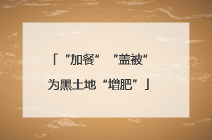 “加餐”“盖被” 为黑土地“增肥”