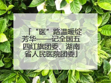 “医”路温暖绽芳华——记全国五四红旗团委、湖南省人民医院团委