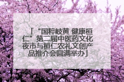 “国粹岐黄 健康桓仁”第二届中医药文化夜市与桓仁农礼文创产品推介会圆满举办