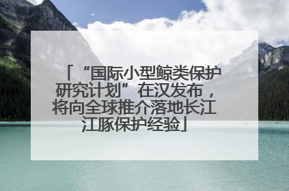 “国际小型鲸类保护研究计划”在汉发布，将向全球推介落地长江江豚保护经验
