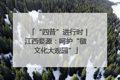 “四普”进行时｜江西婺源：呵护“徽文化大观园”
