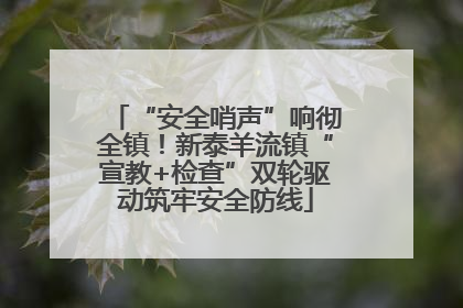 “安全哨声”响彻全镇！新泰羊流镇“宣教+检查”双轮驱动筑牢安全防线