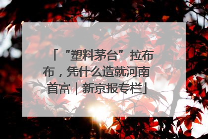 “塑料茅台”拉布布，凭什么造就河南首富｜新京报专栏
