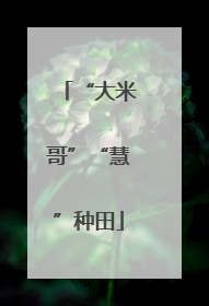 “大米哥”“慧”种田