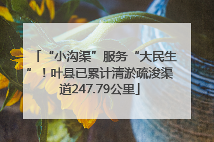 “小沟渠”服务“大民生”！叶县已累计清淤疏浚渠道247.79公里