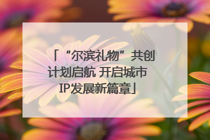 “尔滨礼物”共创计划启航 开启城市IP发展新篇章
