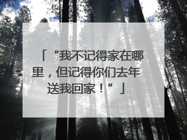 “我不记得家在哪里，但记得你们去年送我回家！”