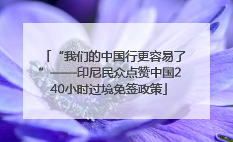 “我们的中国行更容易了”——印尼民众点赞中国240小时过境免签政策