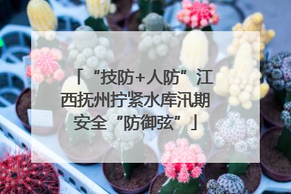 “技防+人防”江西抚州拧紧水库汛期安全“防御弦”