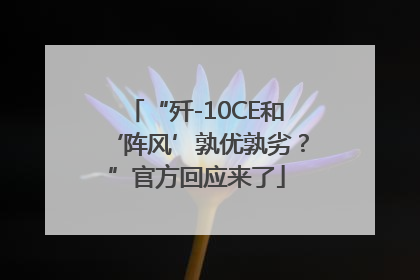 “歼-10CE和‘阵风’孰优孰劣？”官方回应来了