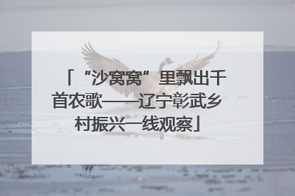“沙窝窝”里飘出千首农歌——辽宁彰武乡村振兴一线观察