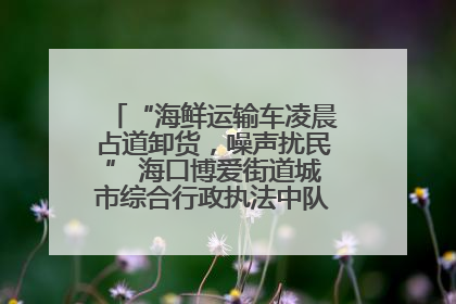 “海鲜运输车凌晨占道卸货，噪声扰民” 海口博爱街道城市综合行政执法中队：将联合交警加强长堤路一带巡逻