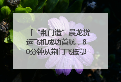“荆门造”晨龙货运飞机成功首航，80分钟从荆门飞抵鄂州花湖机场