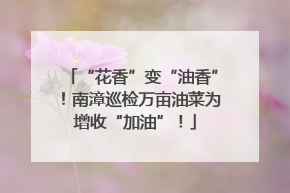 “花香”变“油香”！南漳巡检万亩油菜为增收“加油”！