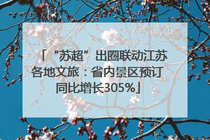 “苏超”出圈联动江苏各地文旅：省内景区预订同比增长305%
