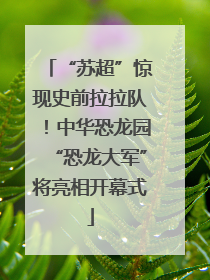 “苏超”惊现史前拉拉队！中华恐龙园“恐龙大军”将亮相开幕式