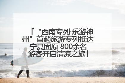 “西南专列·乐游神州”首趟旅游专列抵达宁夏固原 800余名游客开启清凉之旅