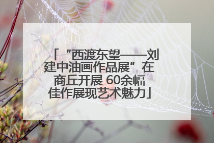 “西渡东望——刘建中油画作品展”在商丘开展 60余幅佳作展现艺术魅力