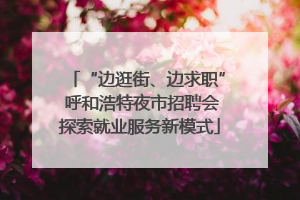 “边逛街、边求职” 呼和浩特夜市招聘会探索就业服务新模式