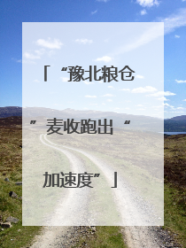 “豫北粮仓”麦收跑出“加速度”