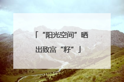 “阳光空间”晒出致富“籽”