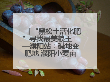 “黑松土活化肥”寻找最美粮王——濮阳站：碱地变肥地 濮阳小麦亩产1500多斤