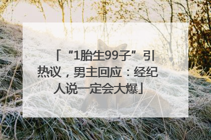 “1胎生99子”引热议，男主回应：经纪人说一定会大爆