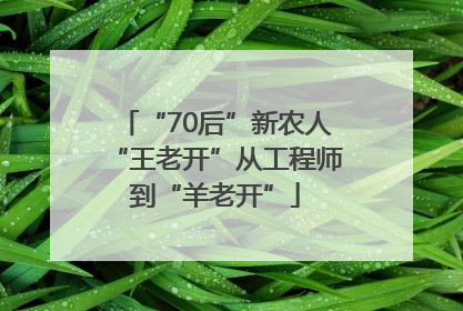 “70后”新农人“王老开”从工程师到“羊老开”