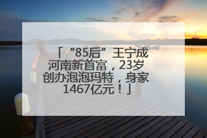 “85后”王宁成河南新首富，23岁创办泡泡玛特，身家1467亿元！