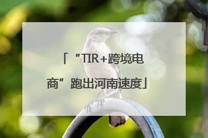 “TIR+跨境电商”跑出河南速度